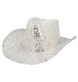 Cowboy Hoed Rodeo Party Zilver