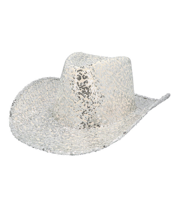 Cowboy Hoed Rodeo Party Zilver