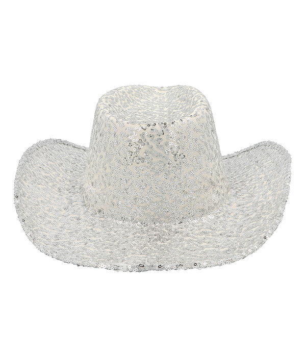 Cowboy Hoed Rodeo Party Zilver