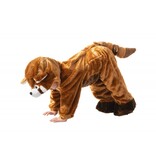 Baby Ginger Panda Pakje Premium