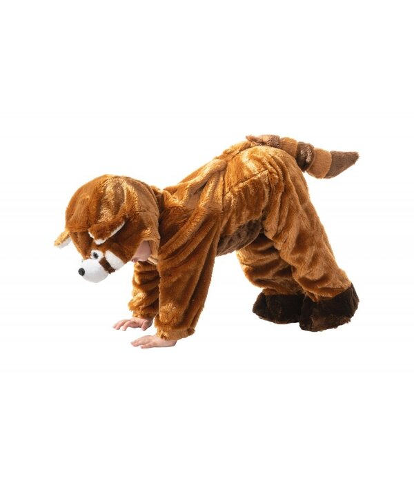 Baby Ginger Panda Pakje Premium