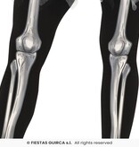 Ballerina Skelet Met Tutu Zwart Vrouw