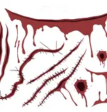 Tijdelijke tatoeages Littekens (13st)