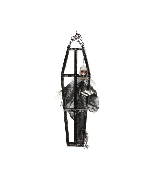 Halloween Skelet in Kooi 40cm