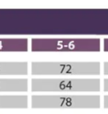 Kostuum Carol Claus Meisjes
