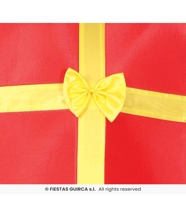 Ingepakt Kado Gift kostuum Volwassenen