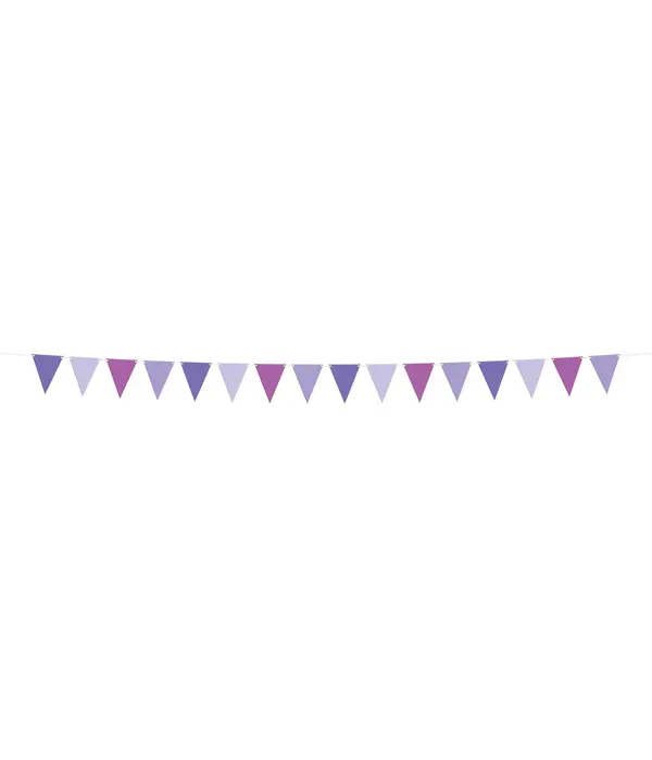 Vlaggenlijn Posh Purple (6m)