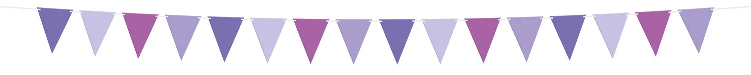 Vlaggenlijn Posh Purple (6m) afbeelding
