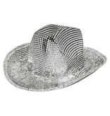 Hoed Groovy Zilver Volwassenen