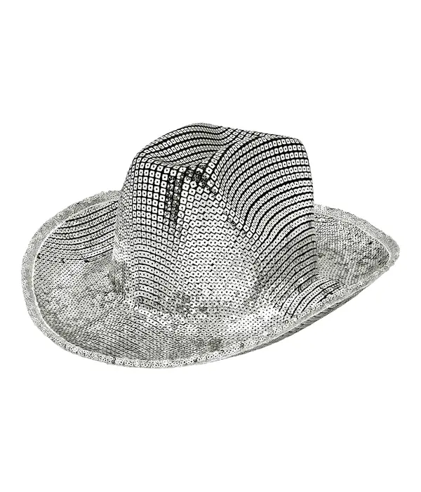 Hoed Groovy Zilver Volwassenen