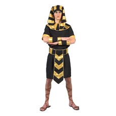Egyptische Farao kostuum Merneith