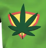 Rookmachine Kostuum Groen Heren