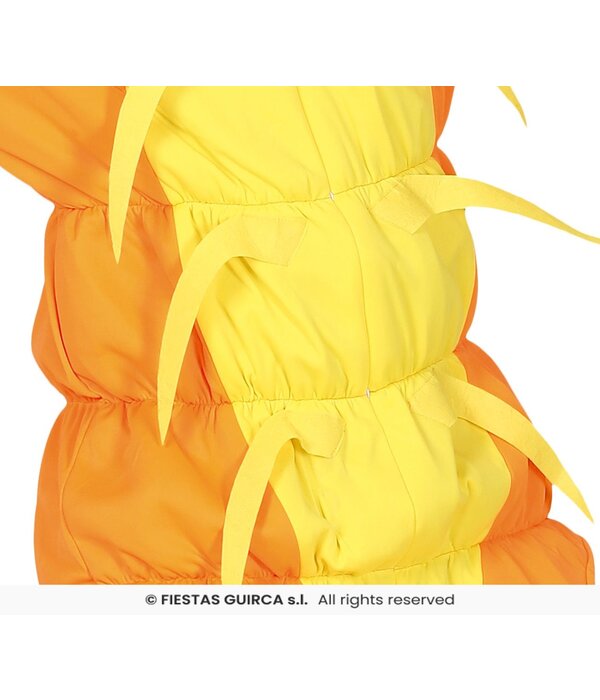 Garnalen Pak Carnaval Volwassenen