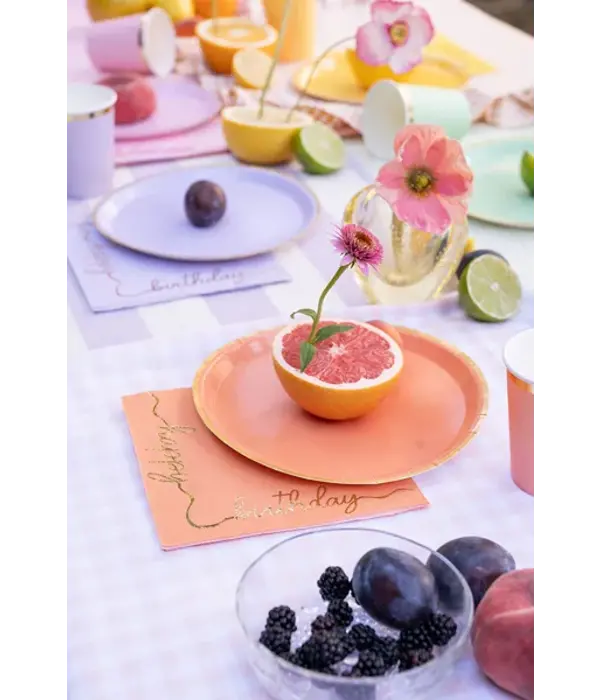 Borden Pastel Kleuren met Gouden Rand (6st)