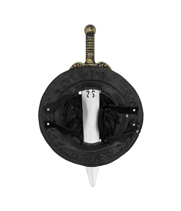 Ridder Wapenset Kinderen