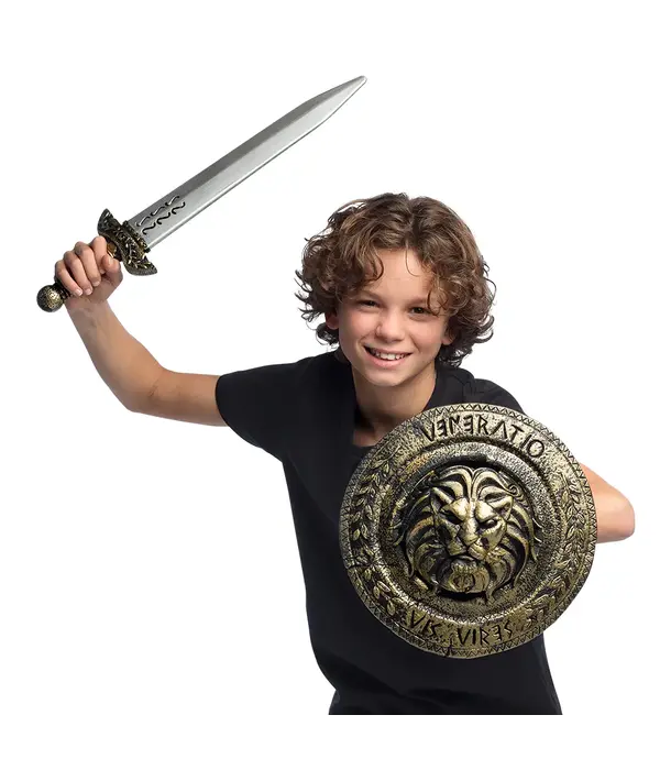 Ridder Wapenset Kinderen