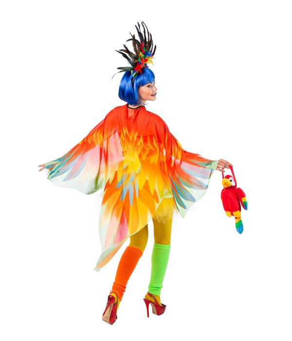 Cape Papegaai Kleurrijk