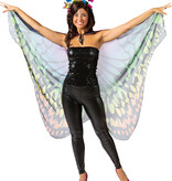 Cape Vlinder Multikleur