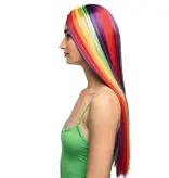 Pruik Unity Regenboog Lang