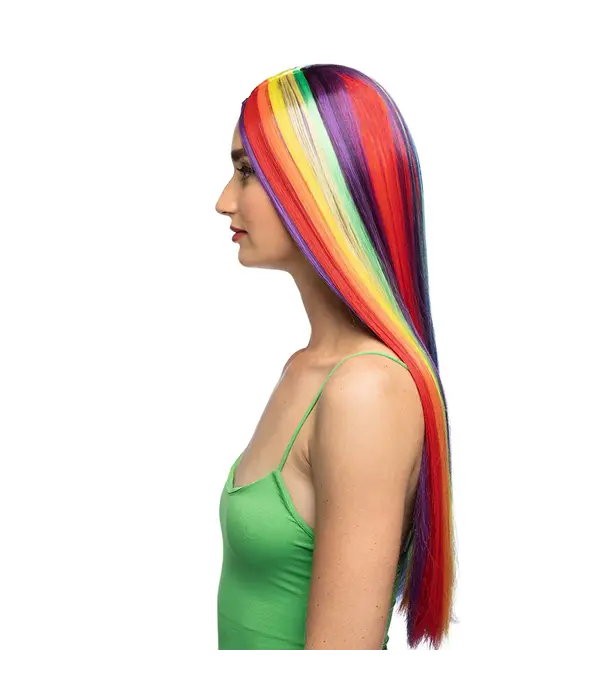 Pruik Unity Regenboog Lang