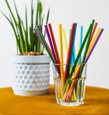 Rietjes Regenboog (20st)