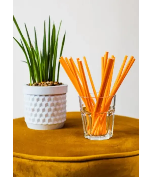 Papieren Rietjes Oranje (20st)