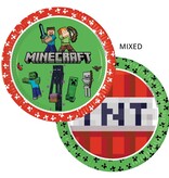 Minecraft Party Bordjes 23cm (8st)