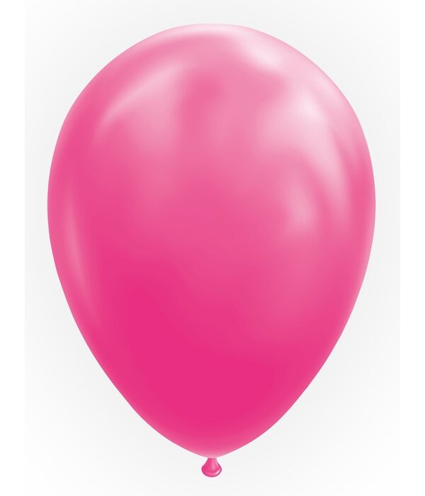Ballonnen Hot Pink 30cm (10st)