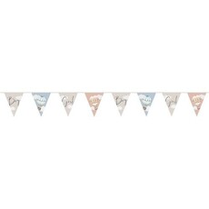 Vlaggenlijn Baby Balloons Gender Reveal (6m)