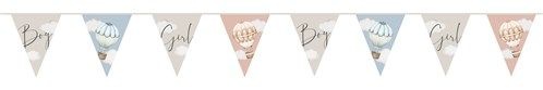 Vlaggenlijn Baby Balloons Gender Reveal (6m) afbeelding