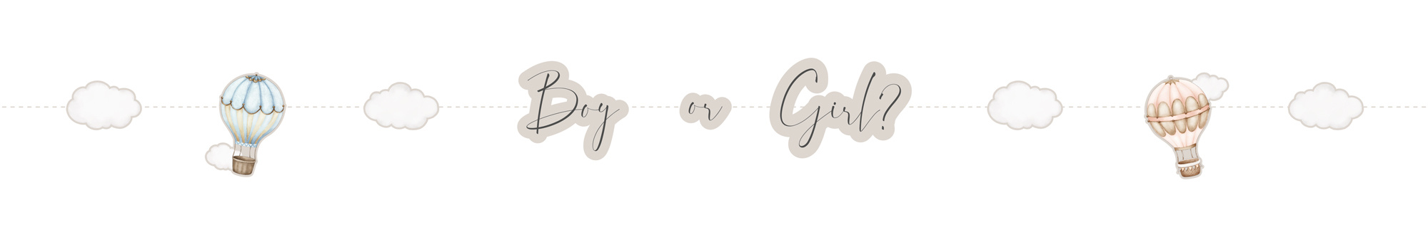 Letterslinger Baby Balloons Gender Reveal (170cm) afbeelding