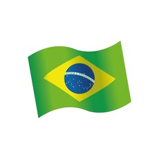 Houten Tafeldecoratie Brazilië (16st)
