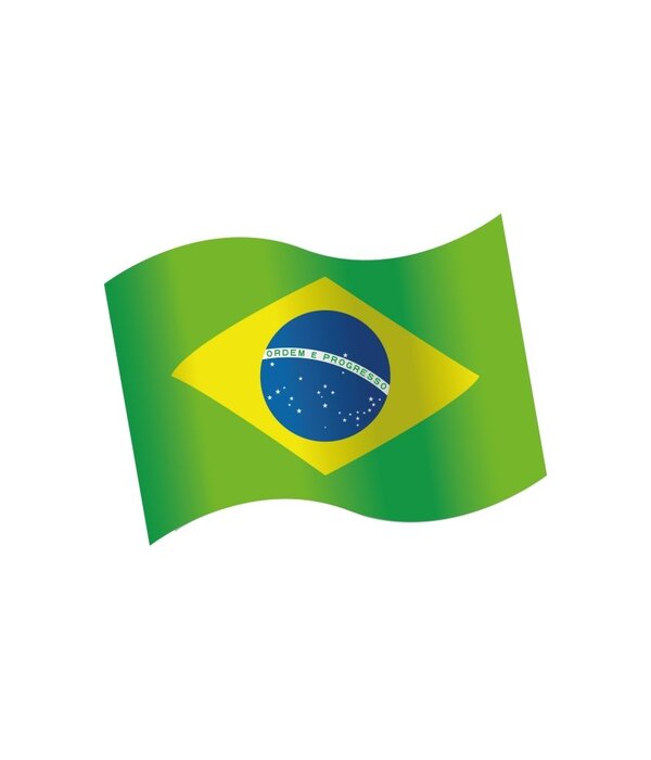 Houten Tafeldecoratie Brazilië (16st)