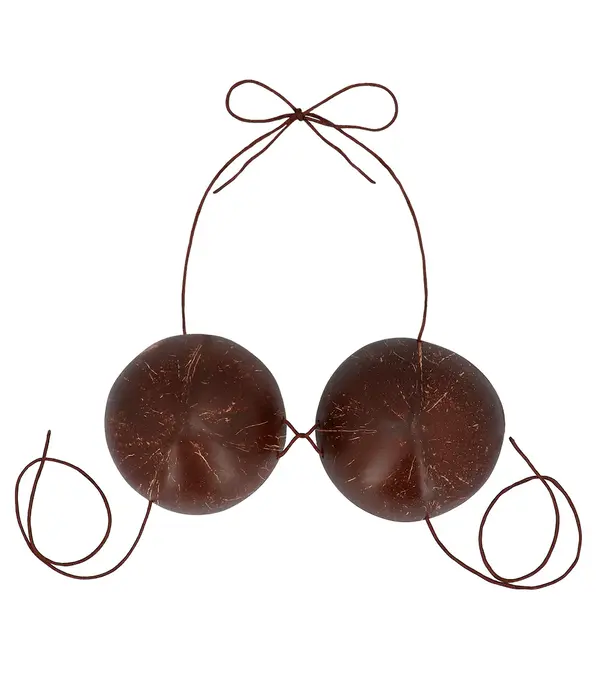 Kokosnootbeha Tropical