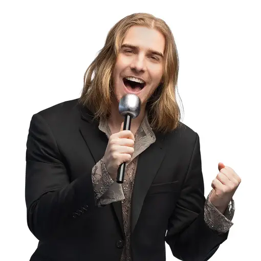 Microfoon Zilver (20cm)