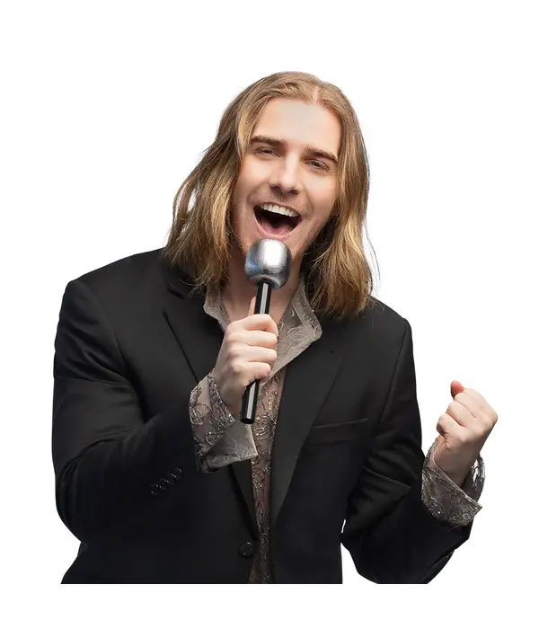 Microfoon Zilver (20cm)