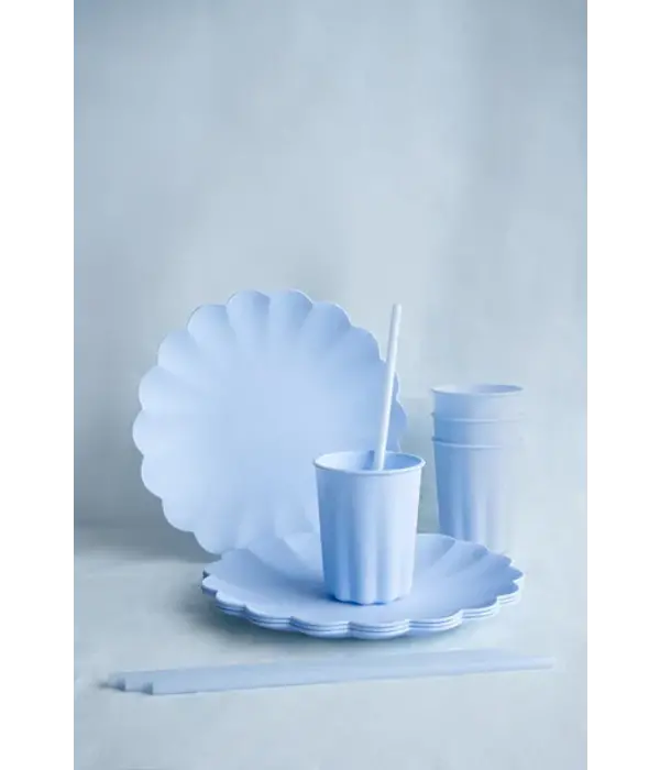 Plastic Rietjes Lichtblauw Herbruikbaar 23cm (12st)