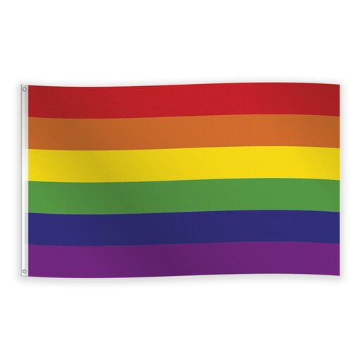 Vlag Regenboog 90 x 150 cm