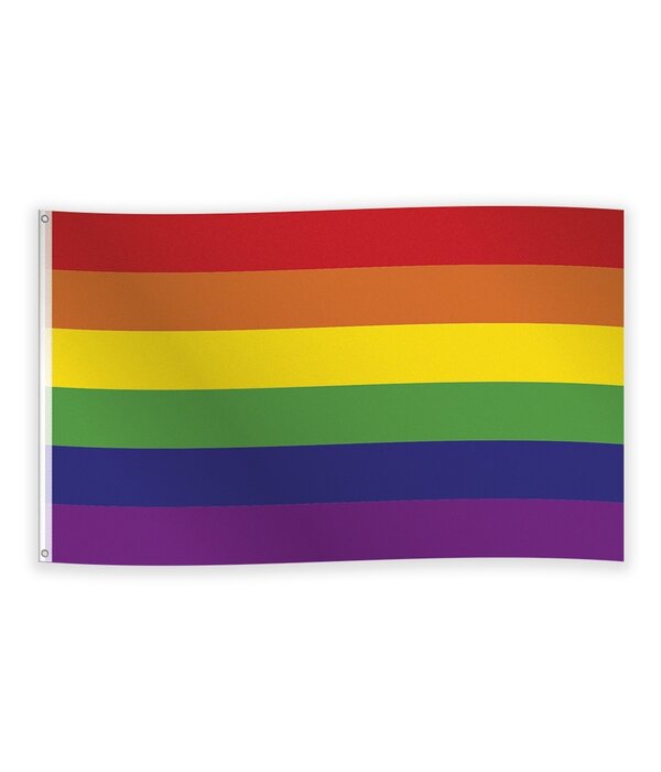 Vlag Regenboog 90 x 150 cm