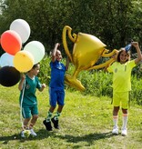 Fantastic Voetbal Folieballon Kampioen Beker (84x78cm)