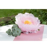 Poederoze Wafelkatoenen Tafelloper (3m)