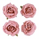 4 Oud Roze Ivoor Rozen Koppen (11x6cm)