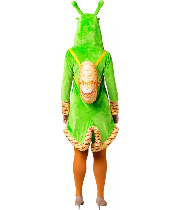 Slakkenjurk Dames Groen