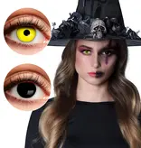 Paar 3-maands duolenzen Crazy witch