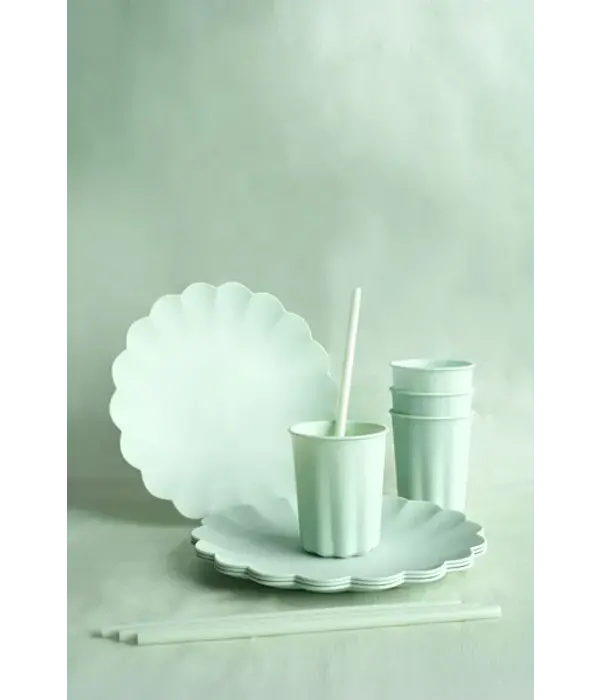 Saliegroene Kunststof Borden Kartelrand 22cm (4st)