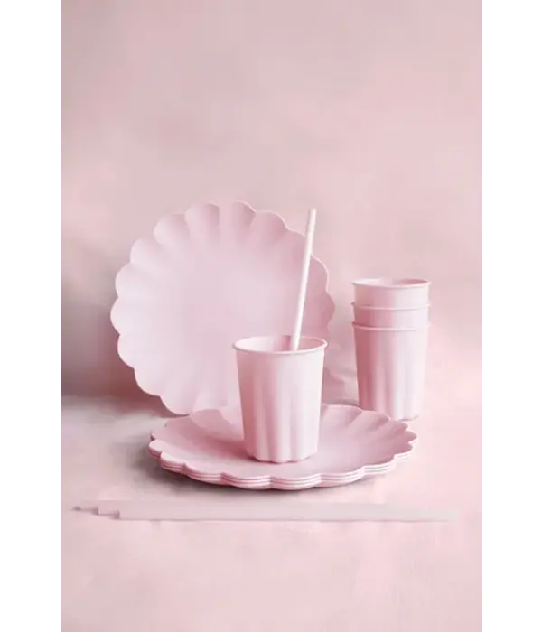 Roze Kunststof Borden Kartelrand 22cm (4st)