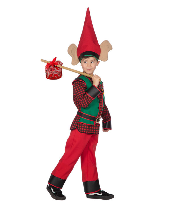 Kabouterjongen Kostuum Premium