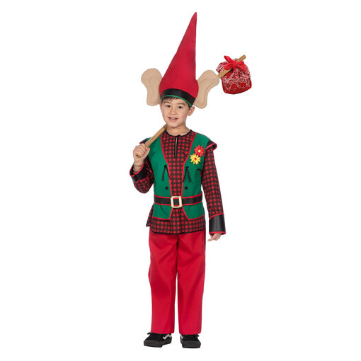 Kabouterjongen Kostuum Premium