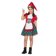 Kaboutermeisje Kostuum Premium