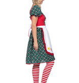 Kabouterdame Kostuum Premium